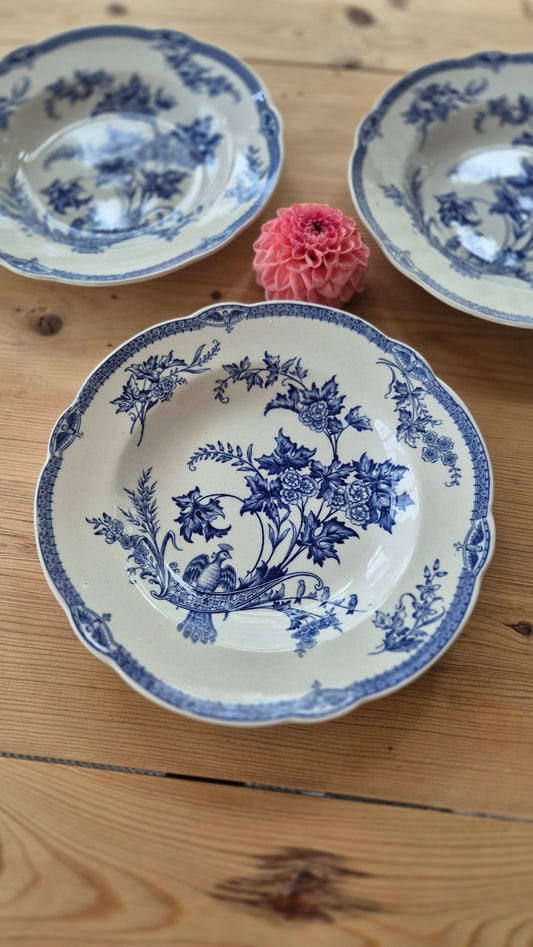 Mattallrik djup - Astrid