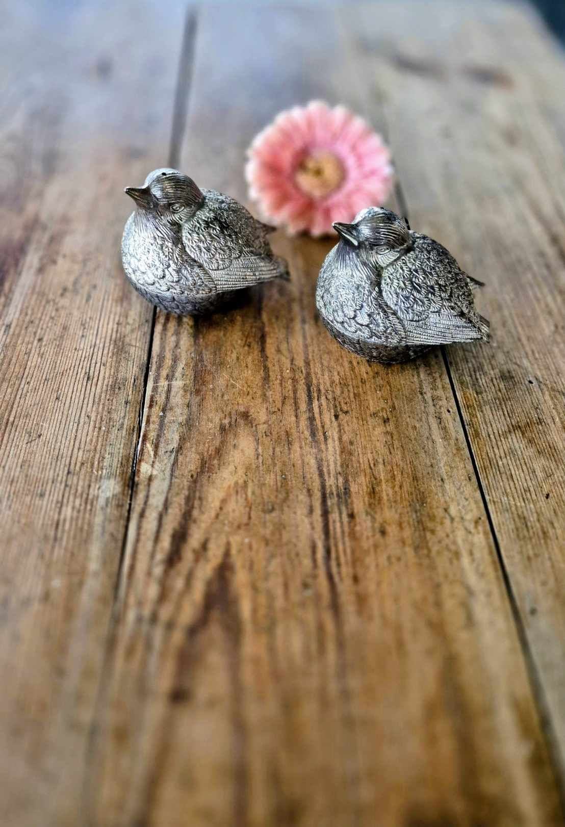 Salt och pepparkar - Fågel