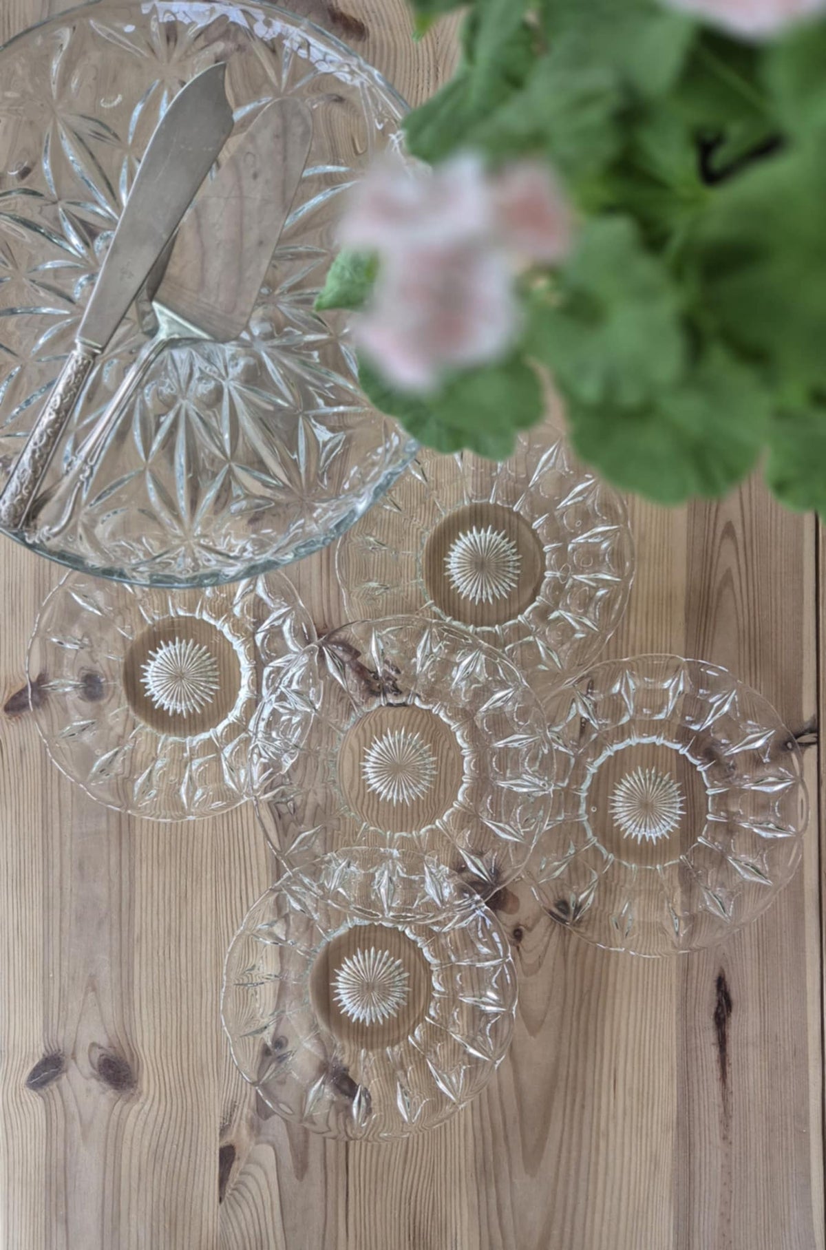 Assietter - Glas 5 st - Wallemyrans Vintage