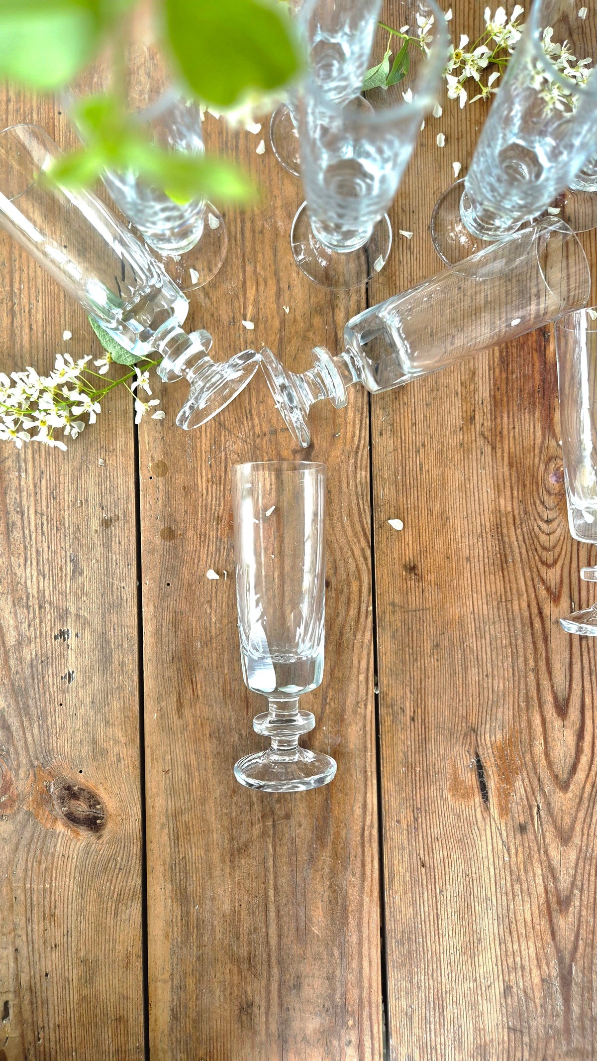 Champagneglas - Wallemyrans Vintage