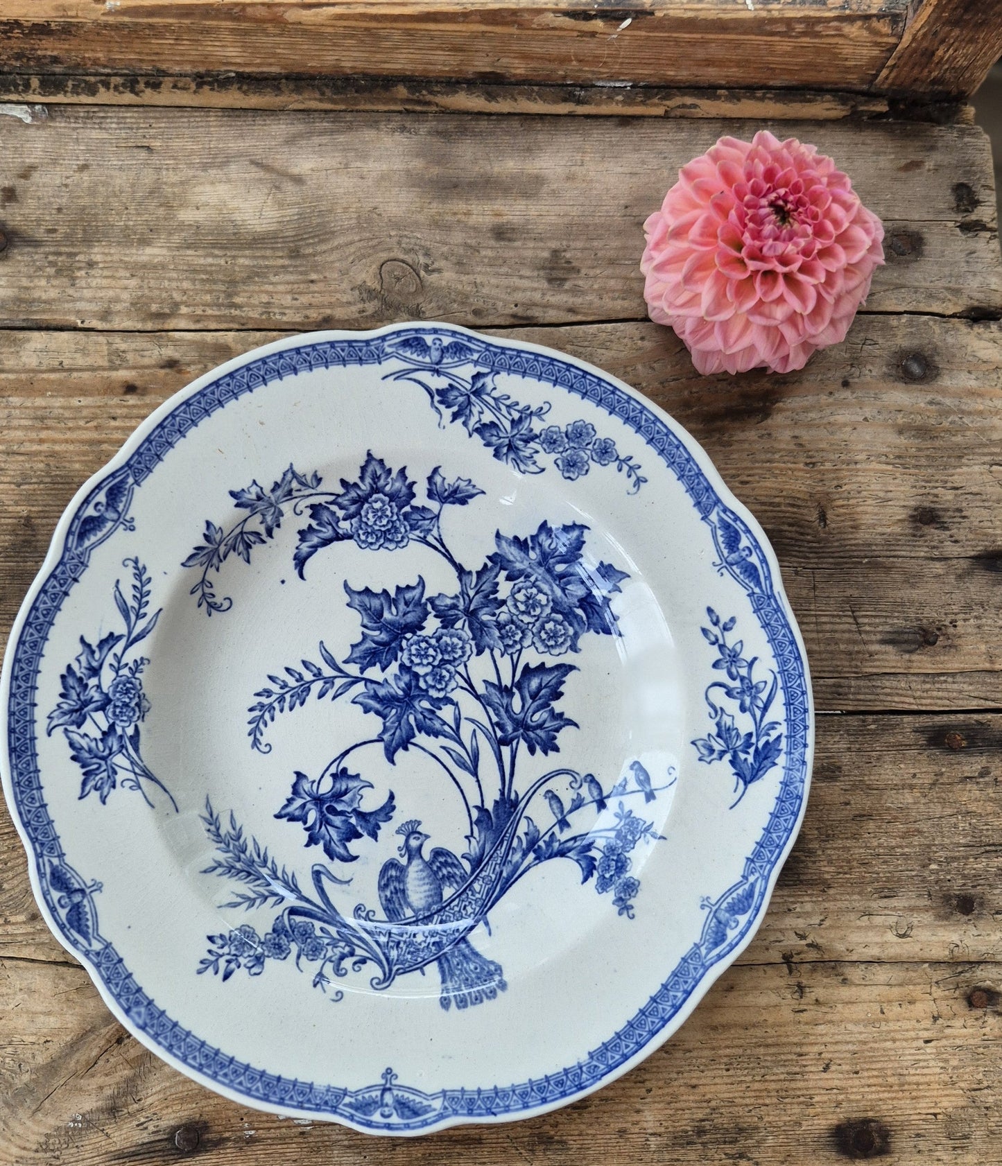 [product - title] från [shop - name]