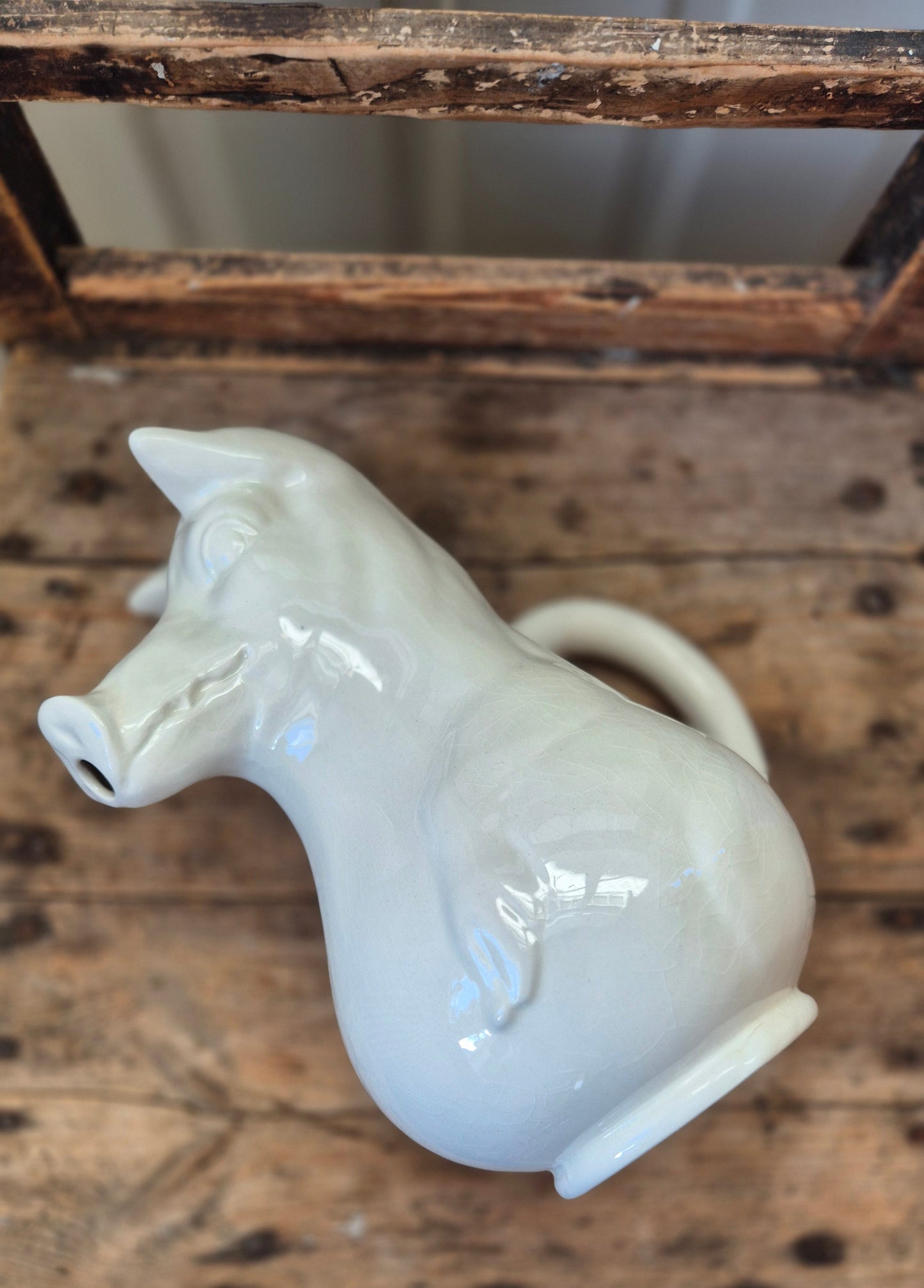 Porslinskanna - Gris