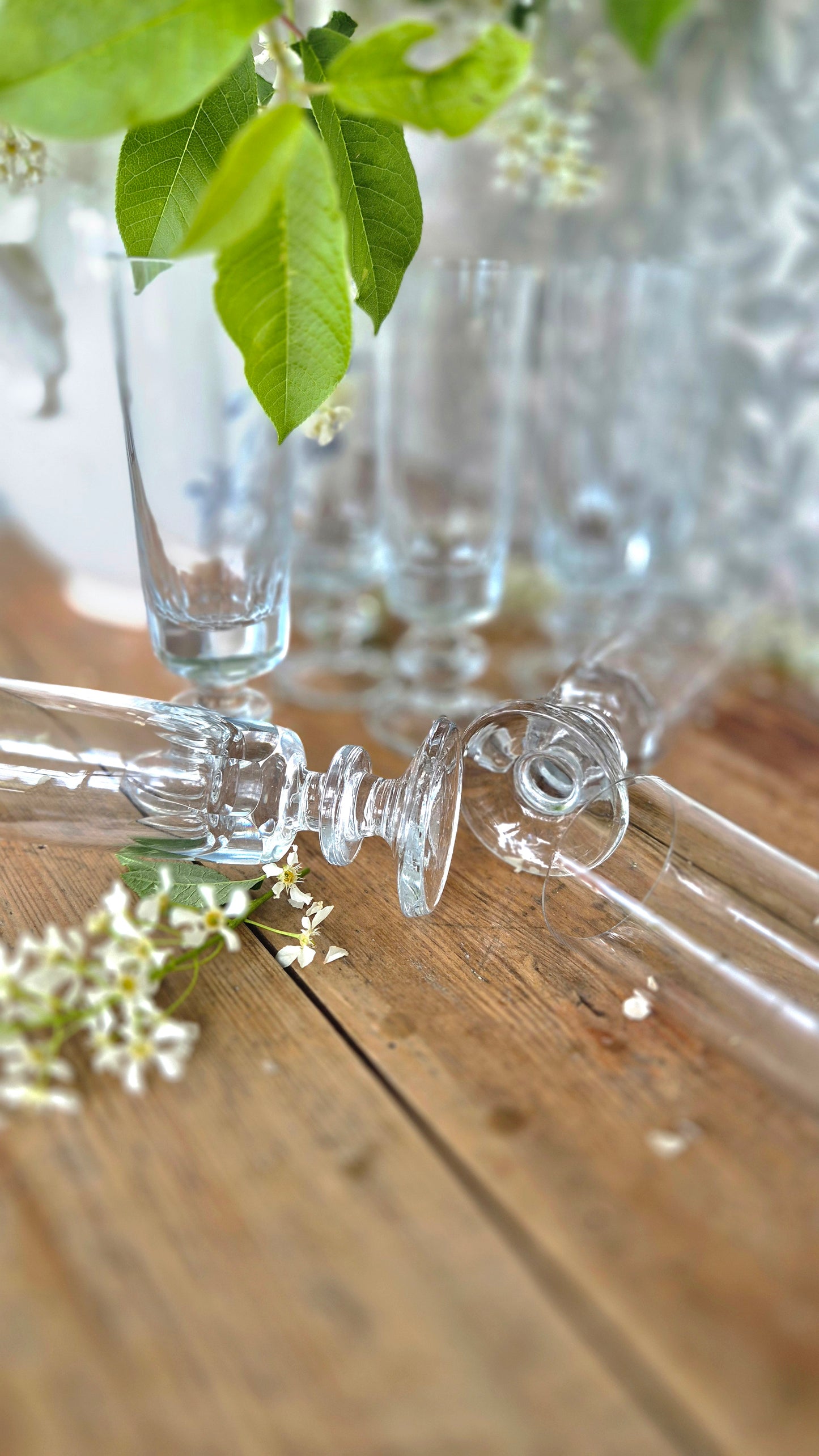 Champagneglas