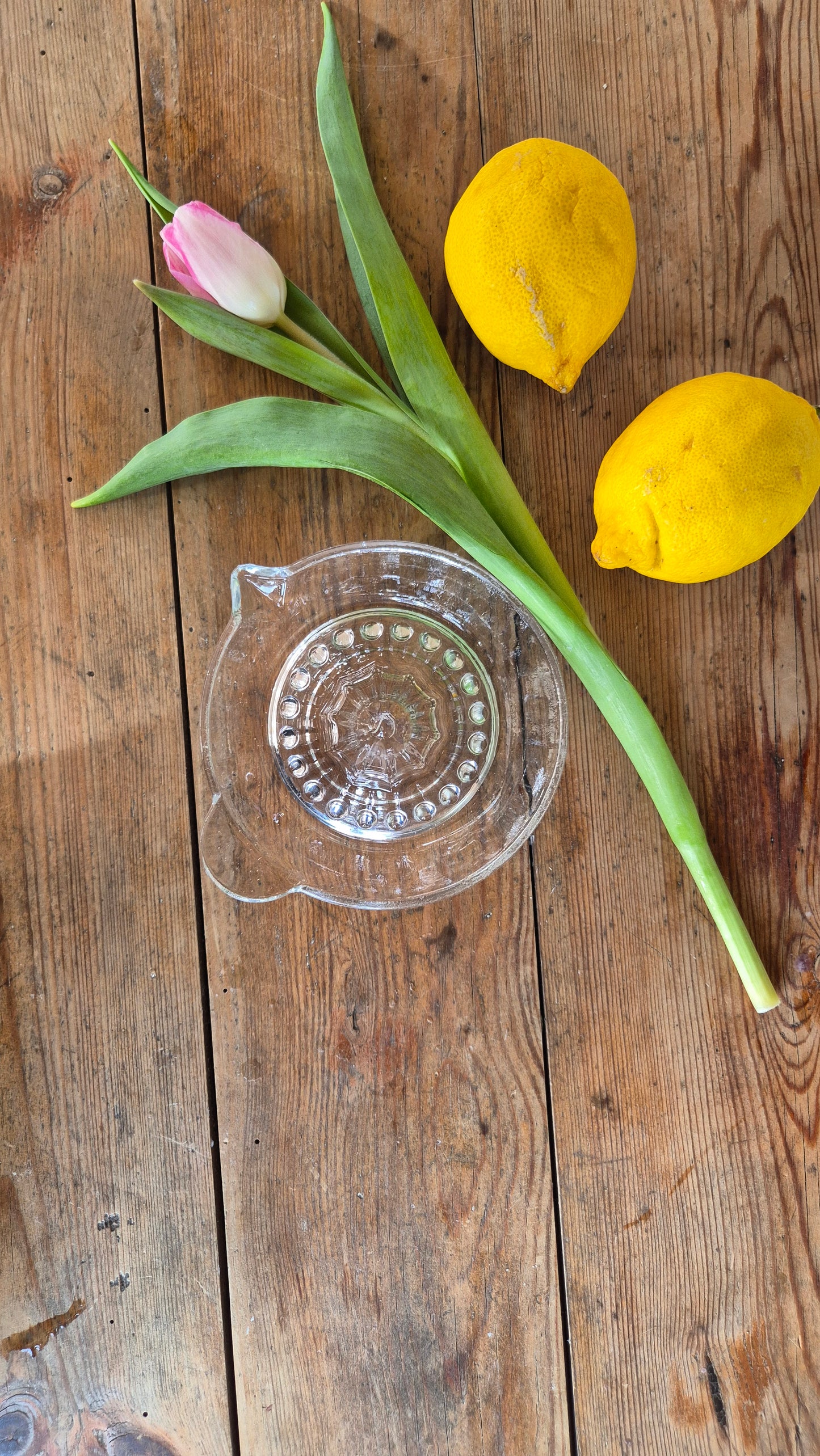 Citruspress i glas